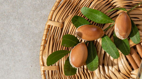 ARGAN OIL...5 Reasons Why You SHOULD Pay More